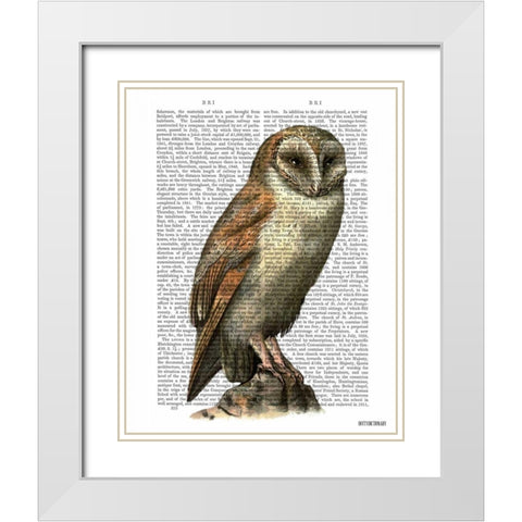 Barn Owl White Modern Wood Framed Art Print with Double Matting by Fab Funky