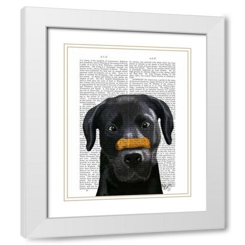 Black Labrador With Bone on Nose White Modern Wood Framed Art Print with Double Matting by Fab Funky