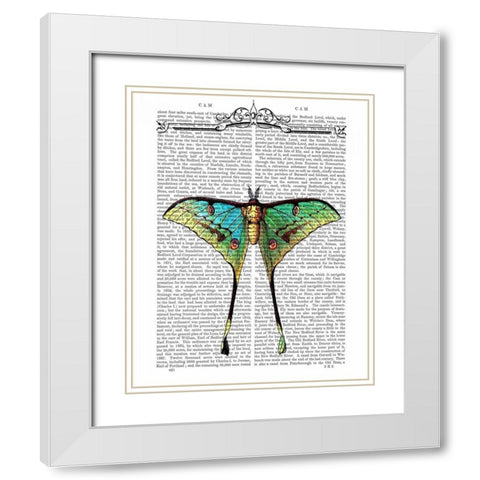 Butterfly 1 White Modern Wood Framed Art Print with Double Matting by Fab Funky