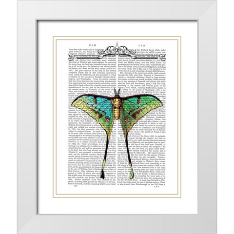 Butterfly 1 White Modern Wood Framed Art Print with Double Matting by Fab Funky