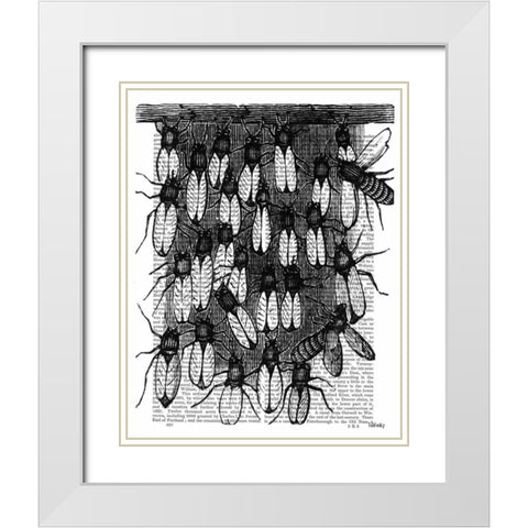 Bee and Honeycomb Print White Modern Wood Framed Art Print with Double Matting by Fab Funky