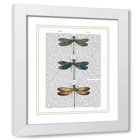 Dragonflies Print 1 White Modern Wood Framed Art Print with Double Matting by Fab Funky