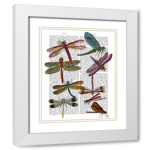 Dragonfly Print 3 White Modern Wood Framed Art Print with Double Matting by Fab Funky