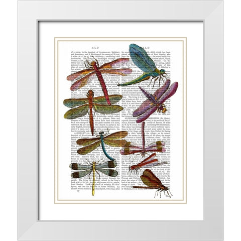 Dragonfly Print 3 White Modern Wood Framed Art Print with Double Matting by Fab Funky