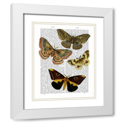 Moth Plate 3 White Modern Wood Framed Art Print with Double Matting by Fab Funky