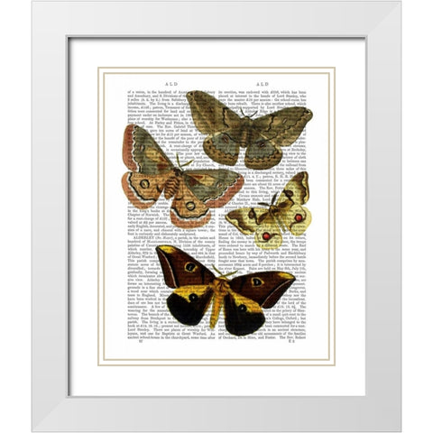 Moth Plate 3 White Modern Wood Framed Art Print with Double Matting by Fab Funky