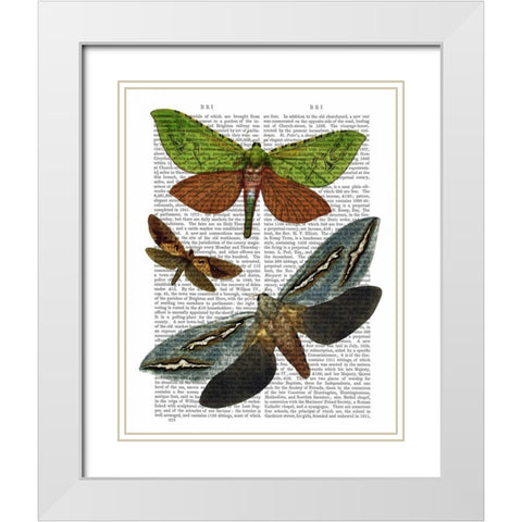 Butterflies 3 White Modern Wood Framed Art Print with Double Matting by Fab Funky