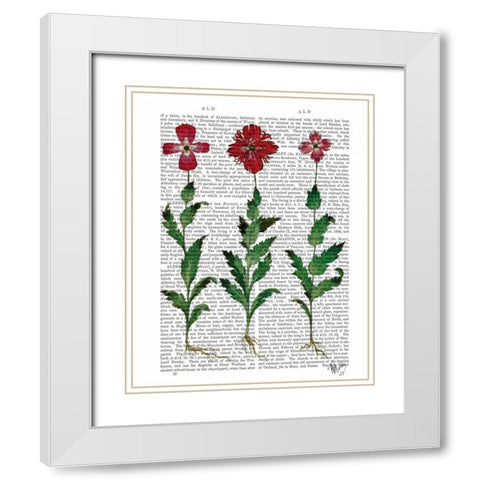 Italian Carnation 1 White Modern Wood Framed Art Print with Double Matting by Fab Funky