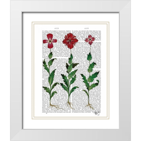 Italian Carnation 1 White Modern Wood Framed Art Print with Double Matting by Fab Funky