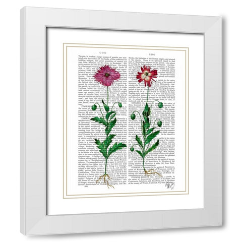 Italian Carnation 3 White Modern Wood Framed Art Print with Double Matting by Fab Funky