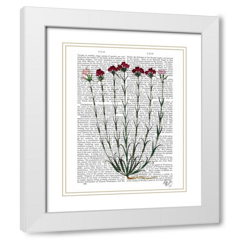 Italian Carnation 4 White Modern Wood Framed Art Print with Double Matting by Fab Funky