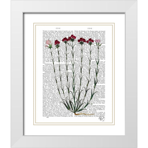 Italian Carnation 4 White Modern Wood Framed Art Print with Double Matting by Fab Funky