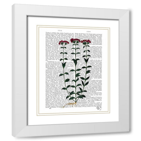 Italian Carnation 6 White Modern Wood Framed Art Print with Double Matting by Fab Funky