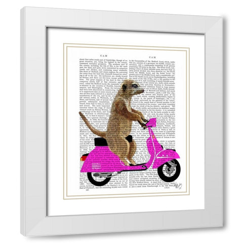 Meerkat on Pink Moped White Modern Wood Framed Art Print with Double Matting by Fab Funky