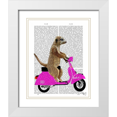 Meerkat on Pink Moped White Modern Wood Framed Art Print with Double Matting by Fab Funky