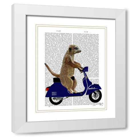 Meerkat on Dark Blue Moped White Modern Wood Framed Art Print with Double Matting by Fab Funky