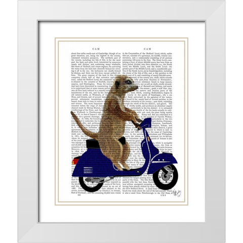 Meerkat on Dark Blue Moped White Modern Wood Framed Art Print with Double Matting by Fab Funky