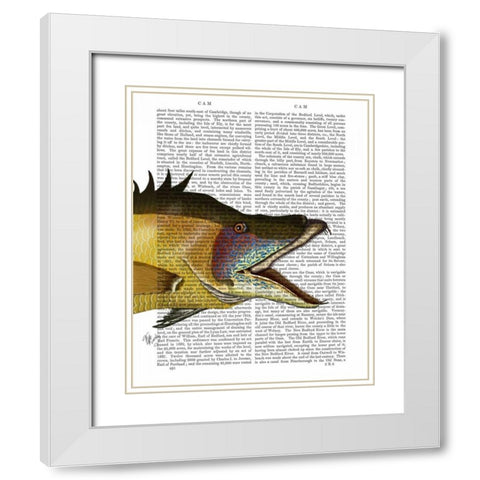 Great Hog Fish White Modern Wood Framed Art Print with Double Matting by Fab Funky