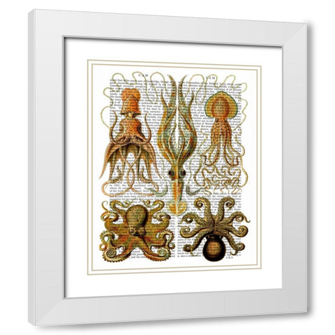 Octopus and squid White Modern Wood Framed Art Print with Double Matting by Fab Funky