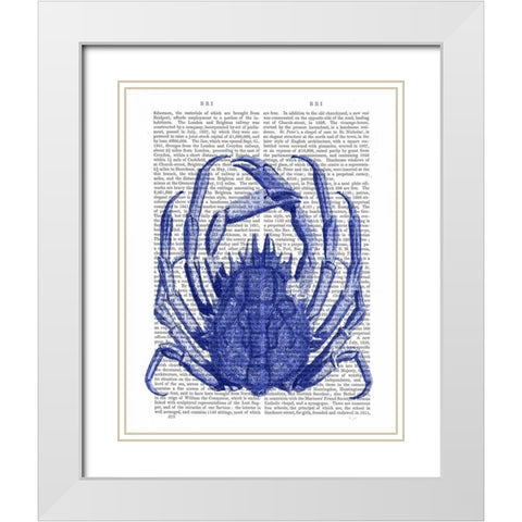 Blue Crab White Modern Wood Framed Art Print with Double Matting by Fab Funky