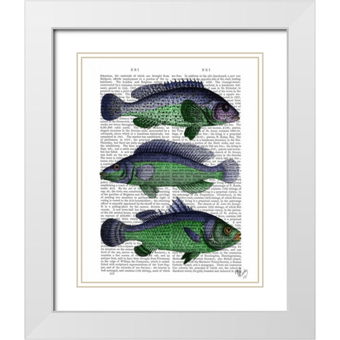Blue and Green Fish Trio White Modern Wood Framed Art Print with Double Matting by Fab Funky