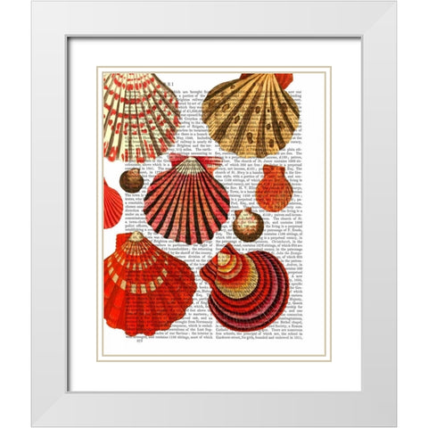 Red Clam Shells White Modern Wood Framed Art Print with Double Matting by Fab Funky