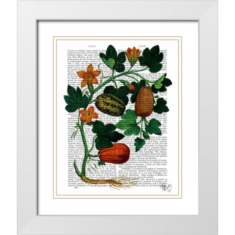 Squash Vine 1 White Modern Wood Framed Art Print with Double Matting by Fab Funky