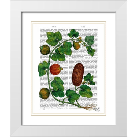 Squash Vine 3 White Modern Wood Framed Art Print with Double Matting by Fab Funky