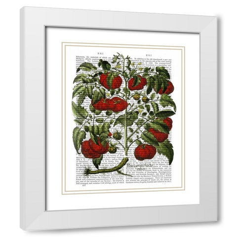 Tomato Plant White Modern Wood Framed Art Print with Double Matting by Fab Funky