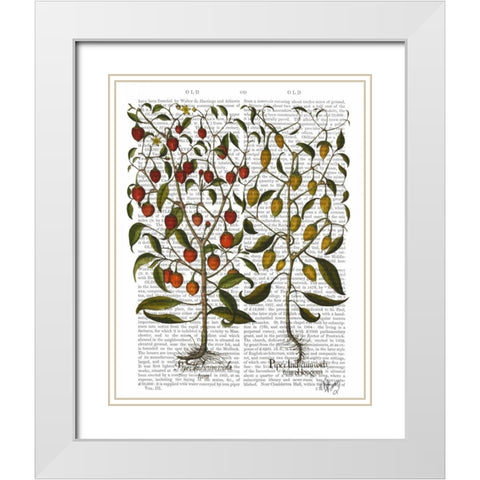 Peppers 1 White Modern Wood Framed Art Print with Double Matting by Fab Funky