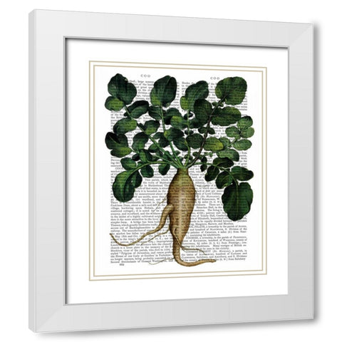 Parsnip 1 White Modern Wood Framed Art Print with Double Matting by Fab Funky