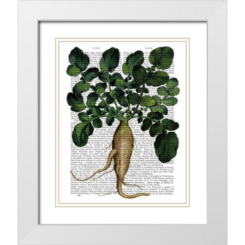 Parsnip 1 White Modern Wood Framed Art Print with Double Matting by Fab Funky