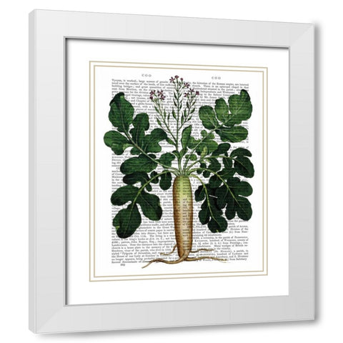 Parsnip 2 White Modern Wood Framed Art Print with Double Matting by Fab Funky