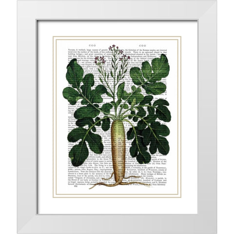 Parsnip 2 White Modern Wood Framed Art Print with Double Matting by Fab Funky