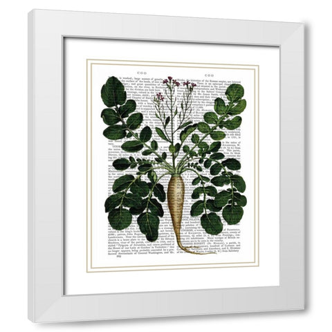 Parsnip 3 White Modern Wood Framed Art Print with Double Matting by Fab Funky