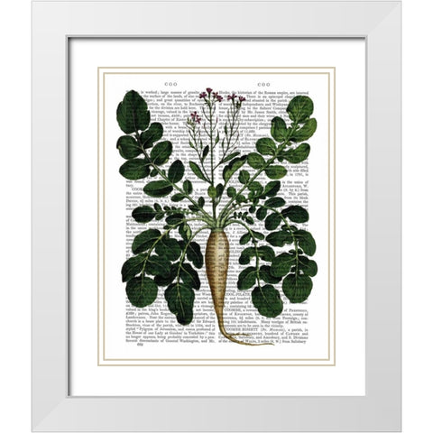 Parsnip 3 White Modern Wood Framed Art Print with Double Matting by Fab Funky