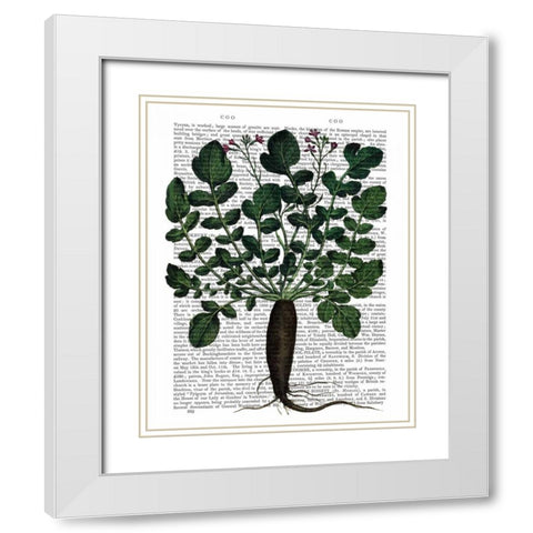 Parsnip 4 White Modern Wood Framed Art Print with Double Matting by Fab Funky