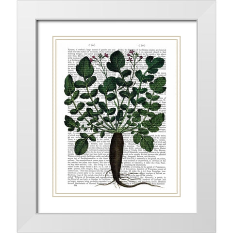 Parsnip 4 White Modern Wood Framed Art Print with Double Matting by Fab Funky