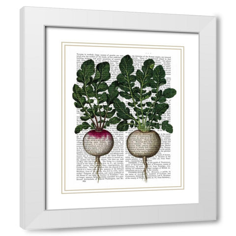 Radishes Print White Modern Wood Framed Art Print with Double Matting by Fab Funky