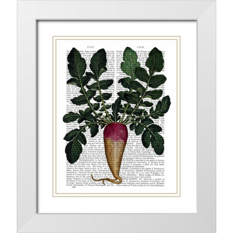 Turnip White Modern Wood Framed Art Print with Double Matting by Fab Funky