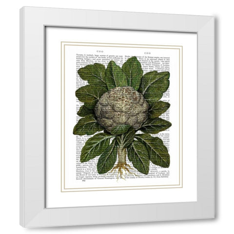 Cauliflower White Modern Wood Framed Art Print with Double Matting by Fab Funky