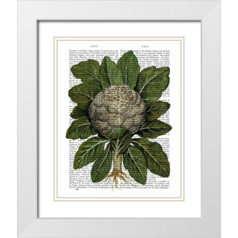 Cauliflower White Modern Wood Framed Art Print with Double Matting by Fab Funky