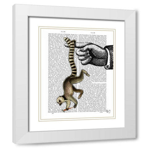 Ring Tailed Lemur on Finger White Modern Wood Framed Art Print with Double Matting by Fab Funky