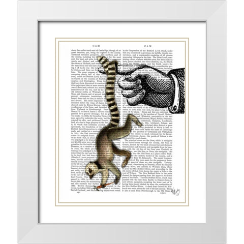 Ring Tailed Lemur on Finger White Modern Wood Framed Art Print with Double Matting by Fab Funky