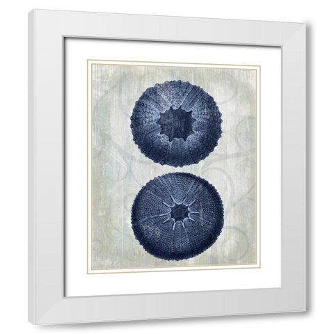 Indigo Blue Sea Urchins b White Modern Wood Framed Art Print with Double Matting by Fab Funky