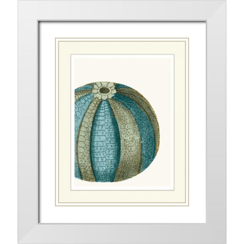 Blue Underwater Scenes 1 a White Modern Wood Framed Art Print with Double Matting by Fab Funky