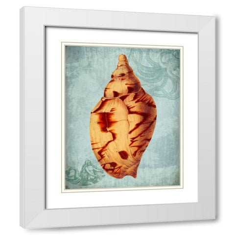 Coastal Life Collection 2 d White Modern Wood Framed Art Print with Double Matting by Fab Funky