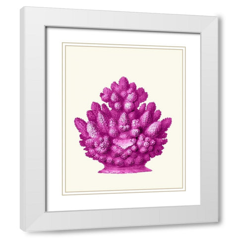 Haeckel Hexacoralla Coral Pink White Modern Wood Framed Art Print with Double Matting by Fab Funky