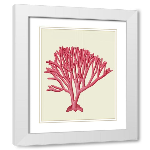 Red Corals 1 c White Modern Wood Framed Art Print with Double Matting by Fab Funky