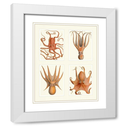 Octopus on 4 Panels White Modern Wood Framed Art Print with Double Matting by Fab Funky